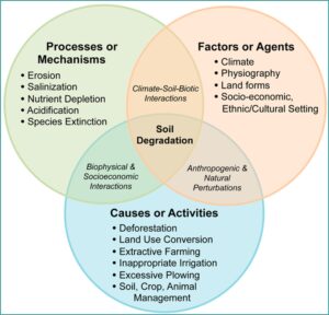 A Venn diagram depicting three larger categories of soil degradation: processes or mechanisms, factors or agents, and causes or activities.